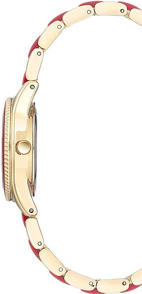 Часы Anne Klein AK3212RDGB купить,NaN