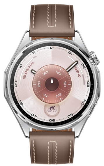 Смарт-часы Huawei Watch GT 6 ATM-B19 46mm Brown