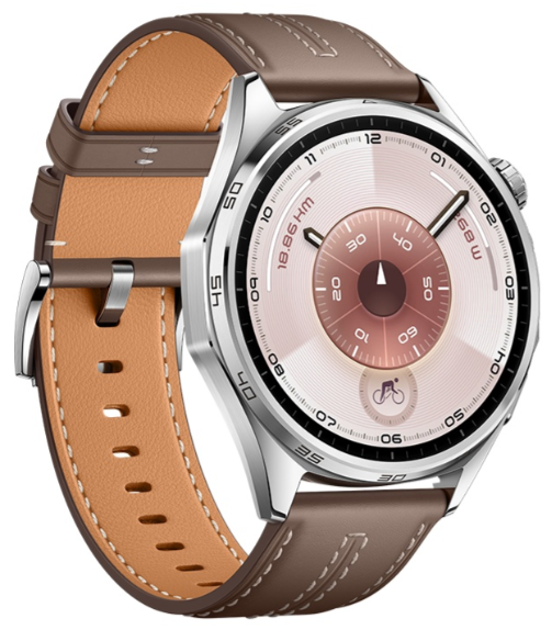 Смарт-часы Huawei Watch GT 6 ATM-B19 46mm Brown