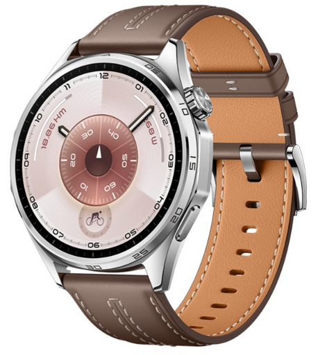 Смарт-часы Huawei Watch GT 6 ATM-B19 46mm Brown