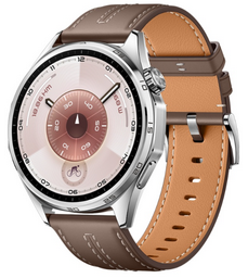 Смарт-часы Huawei Watch GT 6 ATM-B19 55020FWF 46mm Brown