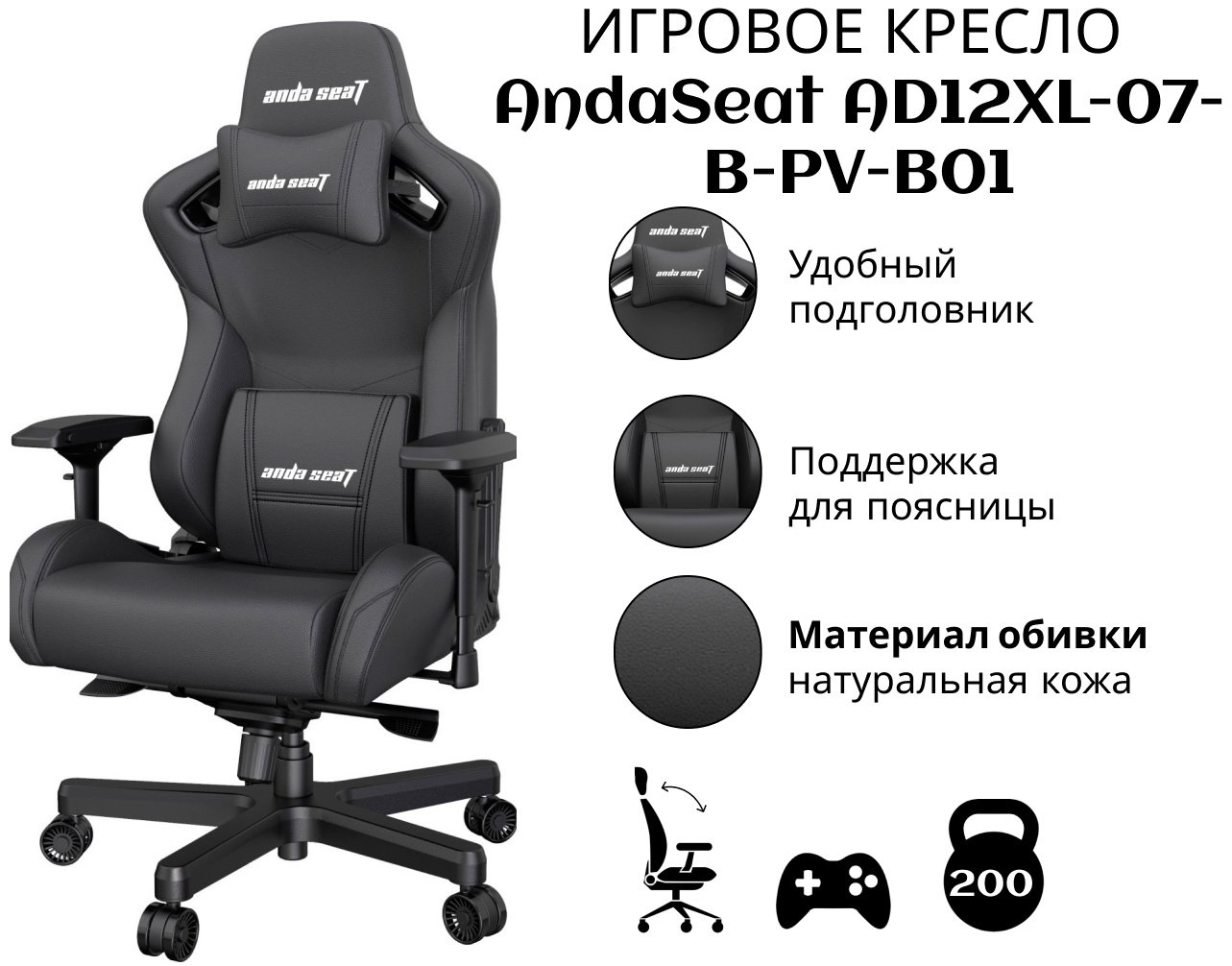 Игровое кресло AndaSeat AD12XL-07-B-PV-B01, черный купить,189990