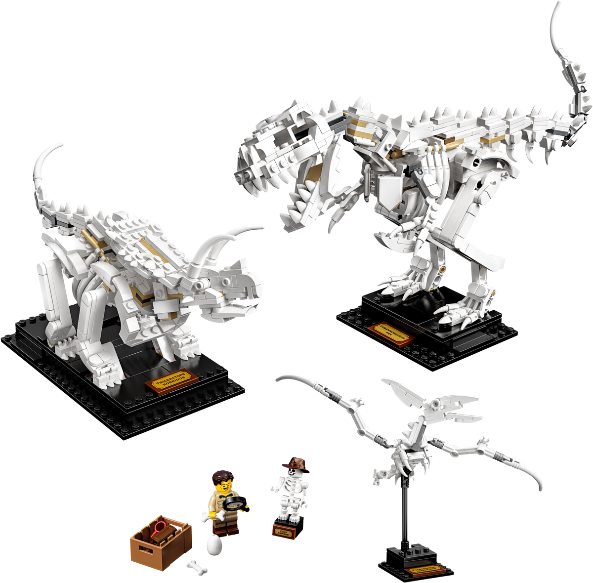 Конструктор Lego Ideas Кости динозавра 21320 купить,NaN