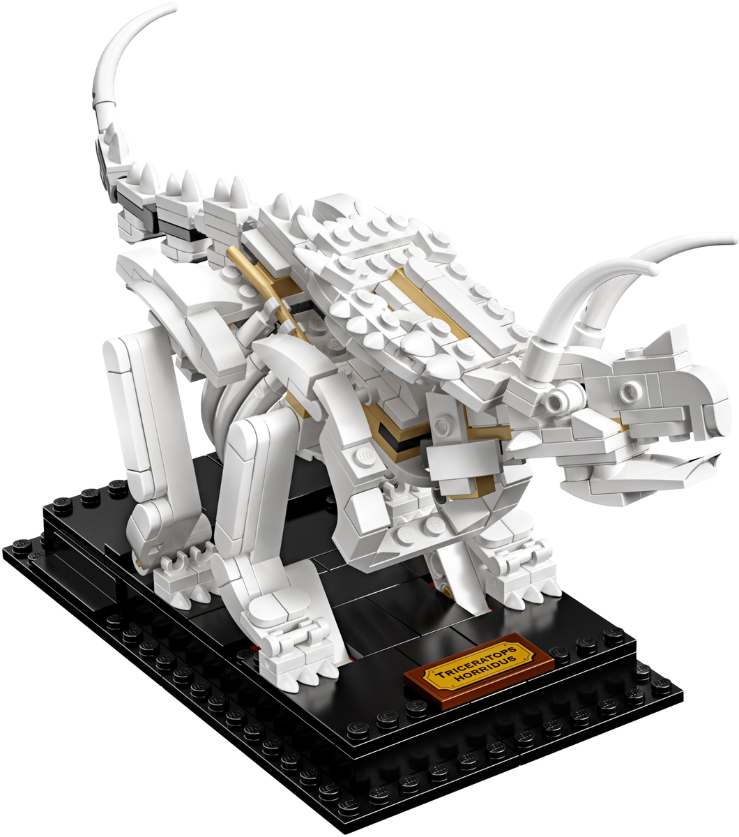 Конструктор Lego Ideas Кости динозавра 21320 купить,NaN