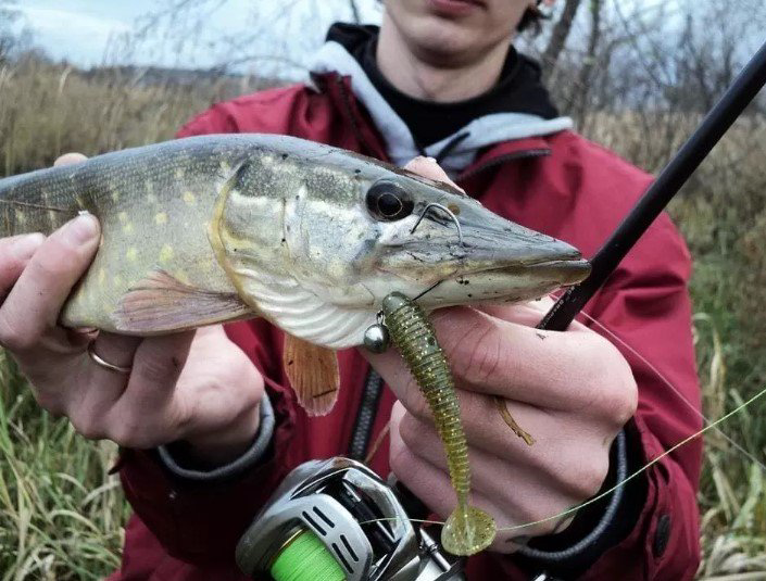 Силиконовая приманка Crazy Fish Vibro Fat 4'' 14-100-13-6 100мм 8,4гр 4шт купить,NaN