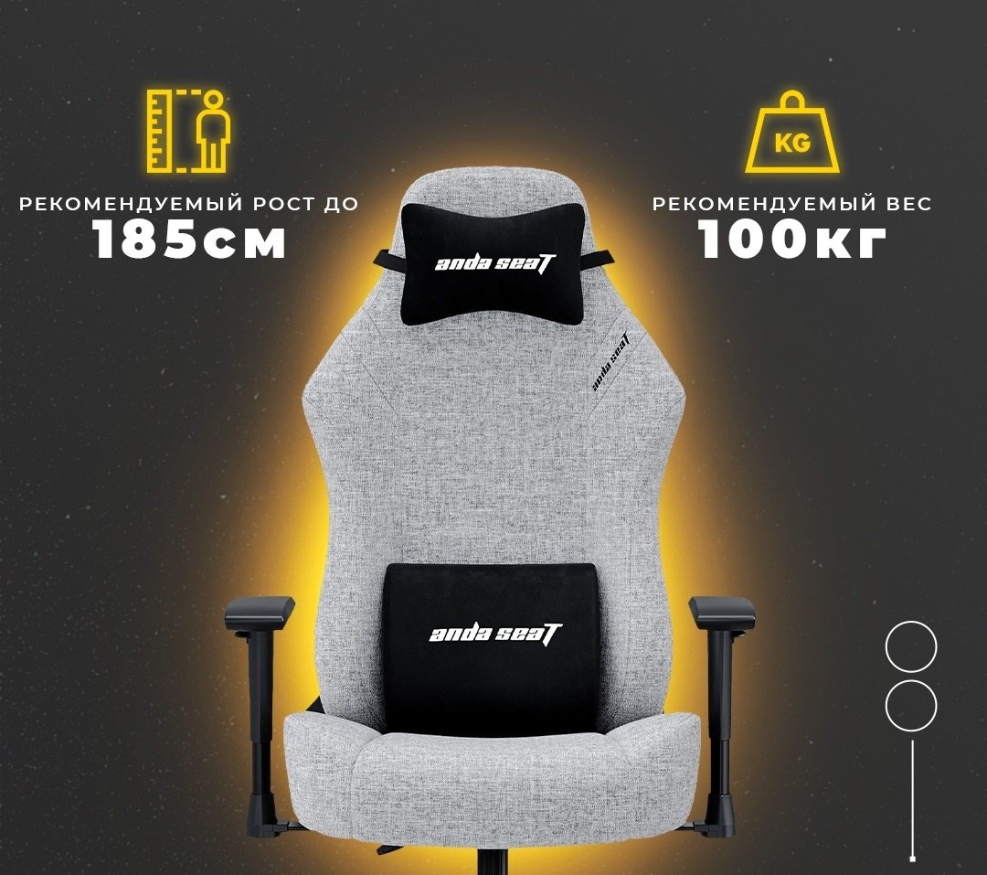 Игровое кресло AndaSeat AD18-44-G-F, серый купить,NaN