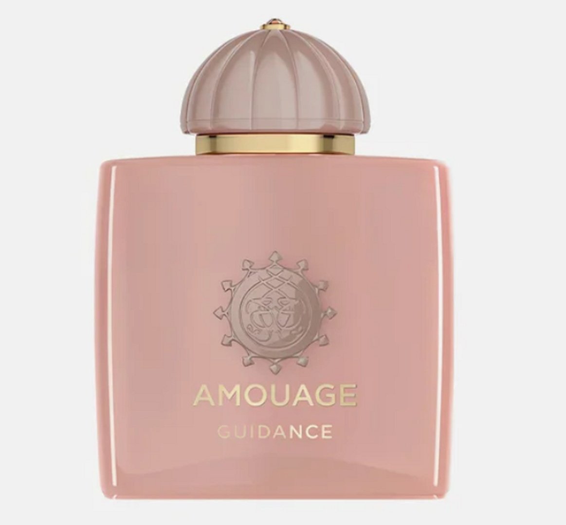 Amouage Guidance парфюмерная вода EDP 100 мл, унисекс купить,217390
