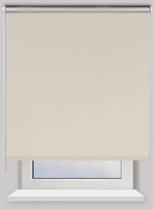 Рулонная штора Franc Gardiner Blackout Silver Мах 110х250см светло-бежевая