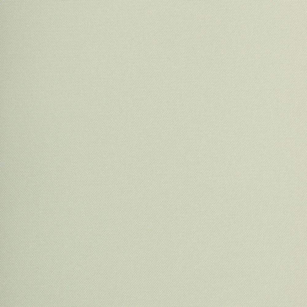 Рулонная штора Franc Gardiner Blackout Silver 60х160см светло-зеленая - ForteMarket Рулонная штора Franc Gardiner Blackout Silver 60х160см светло-зеленая купить,NaN