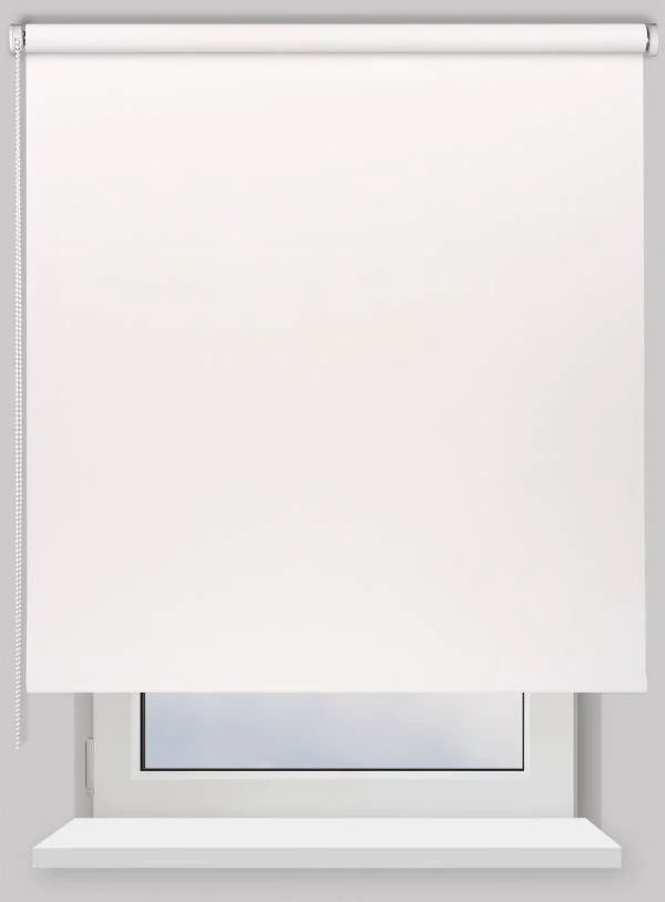 Рулонная штора Franc Gardiner Blackout Color 60х160см белая