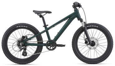 Велосипед Giant STP 20 22040241 20 дюйм 2022 one size зеленый купить,NaN