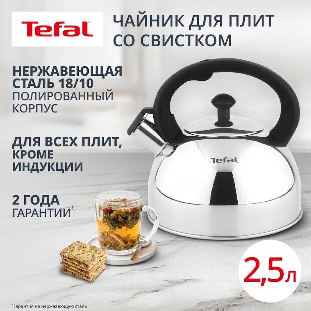 Tefal чайник N4210217 Wave N4210217 2.5 л, нержавеющая сталь