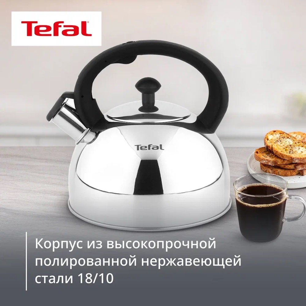 Tefal чайник N4210217 Wave N4210217 2.5 л, нержавеющая сталь