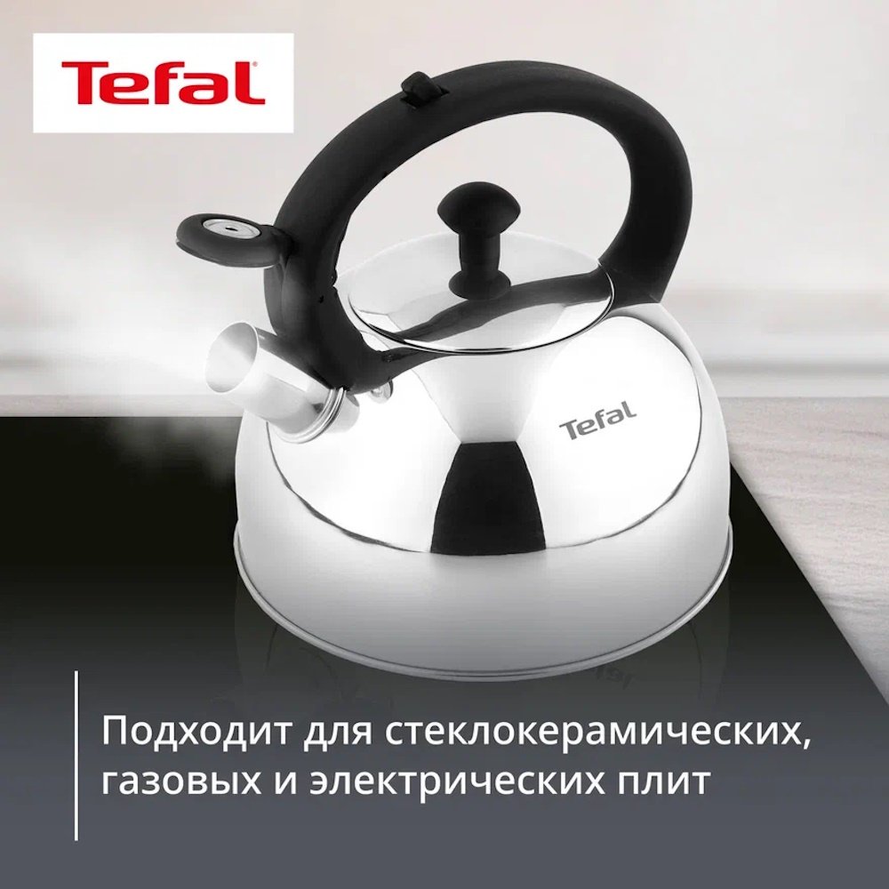 Tefal чайник N4210217 Wave N4210217 2.5 л, нержавеющая сталь