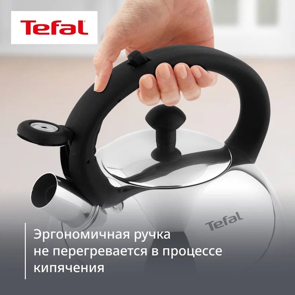Tefal чайник N4210217 Wave N4210217 2.5 л, нержавеющая сталь