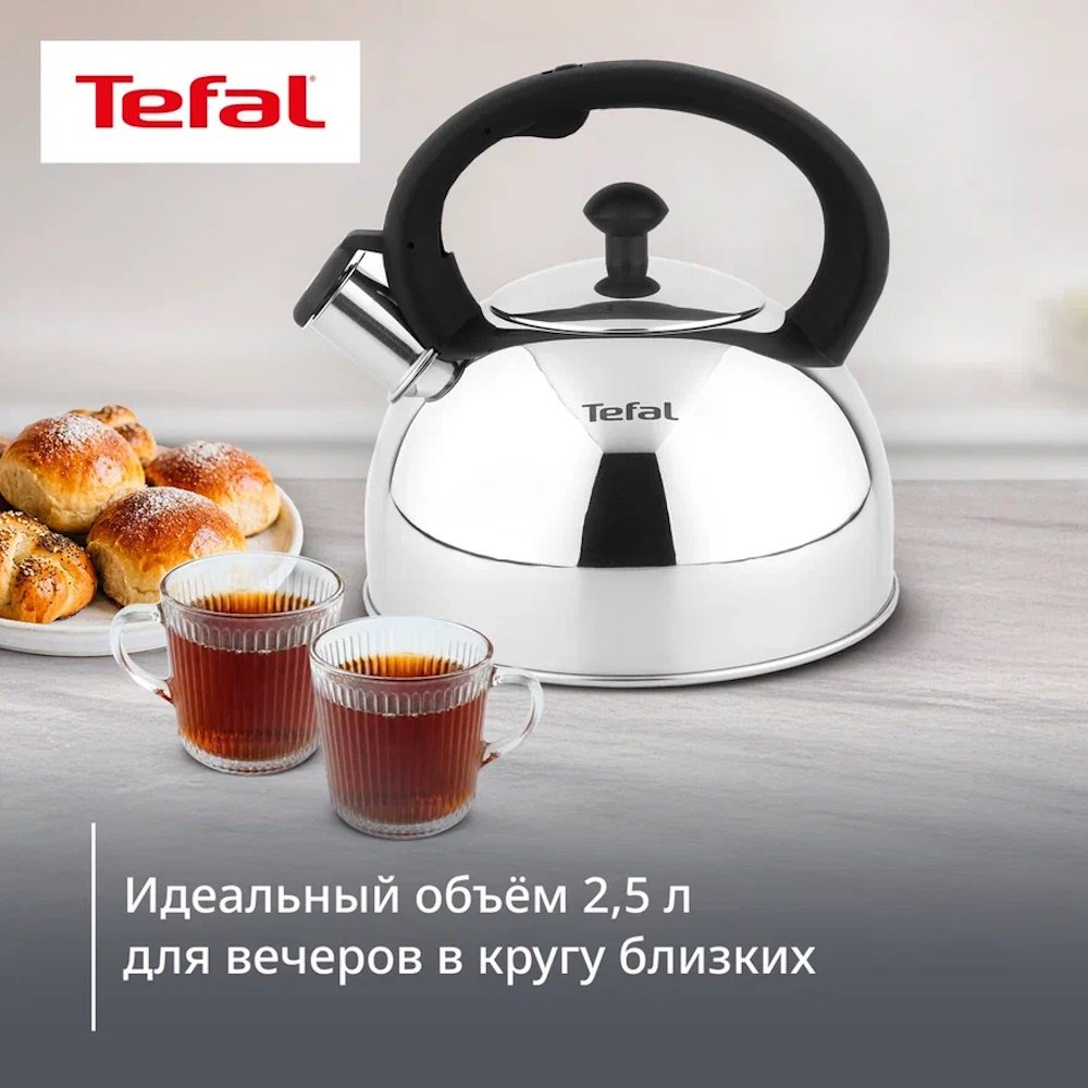 Tefal чайник N4210217 Wave N4210217 2.5 л, нержавеющая сталь