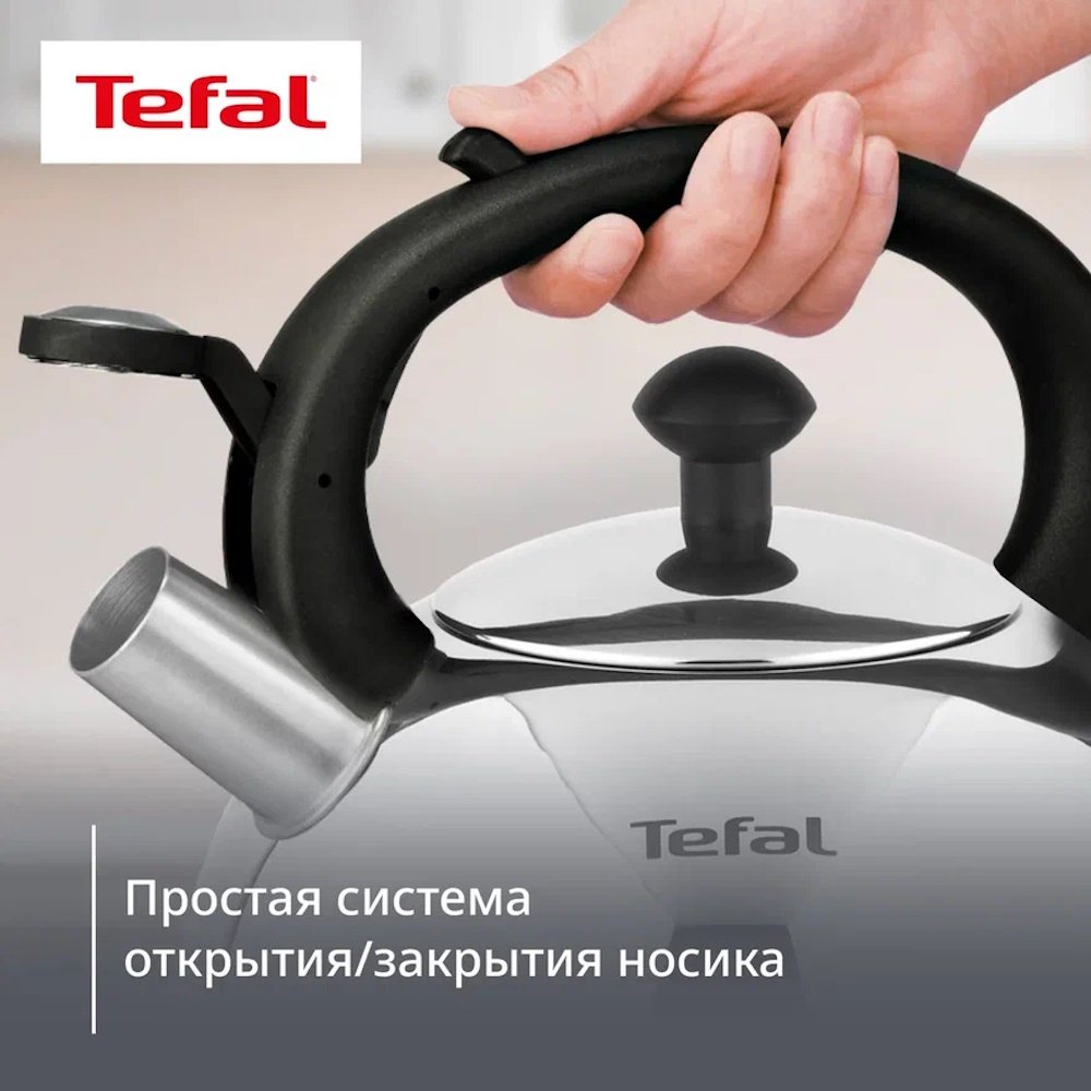 Tefal чайник N4210217 Wave N4210217 2.5 л, нержавеющая сталь купить,31485