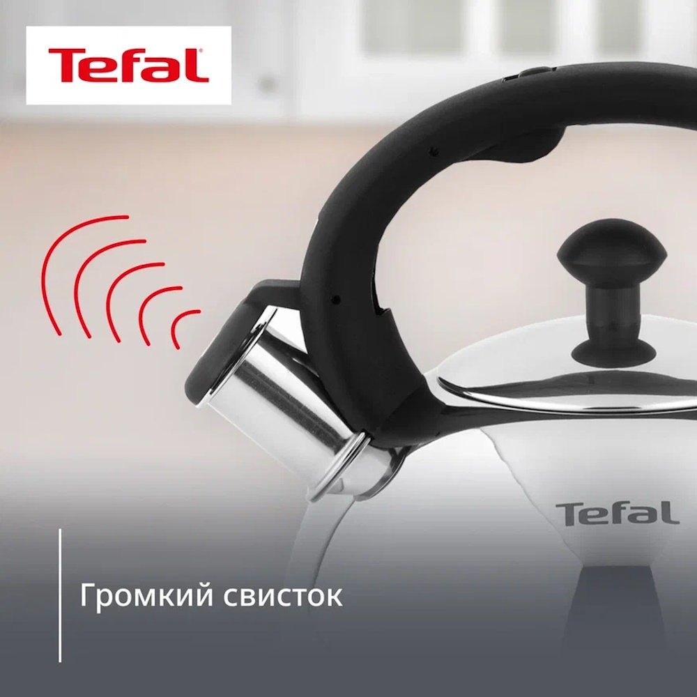 Tefal чайник N4210217 Wave N4210217 2.5 л, нержавеющая сталь купить,31485