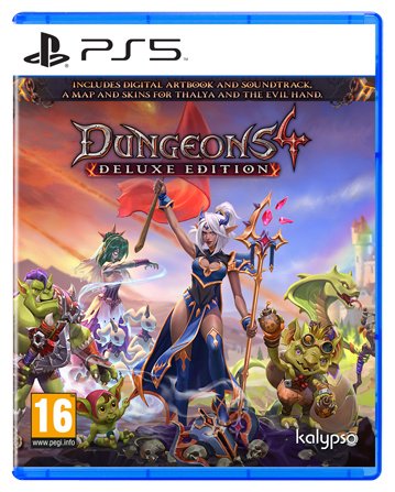 Dungeo 4. Deluxe Edition NS RUS SUB купить,24900