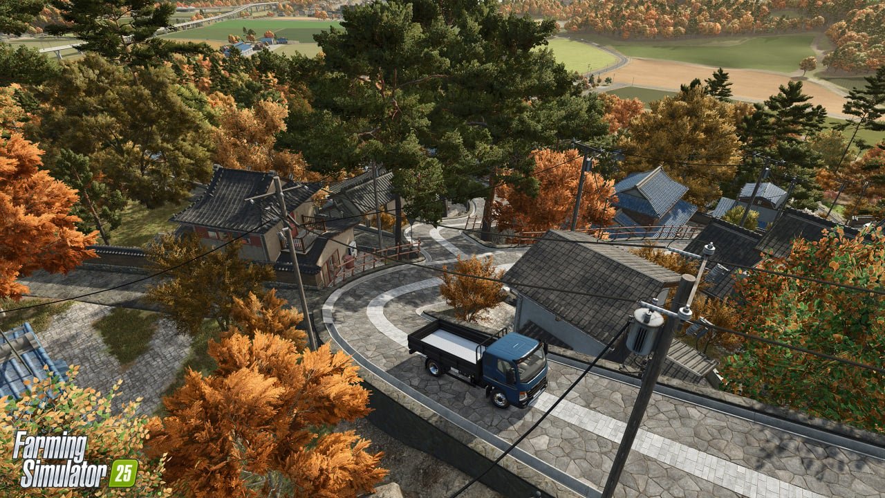Farming Simulator 25 PS5 RUS SUB купить,25794
