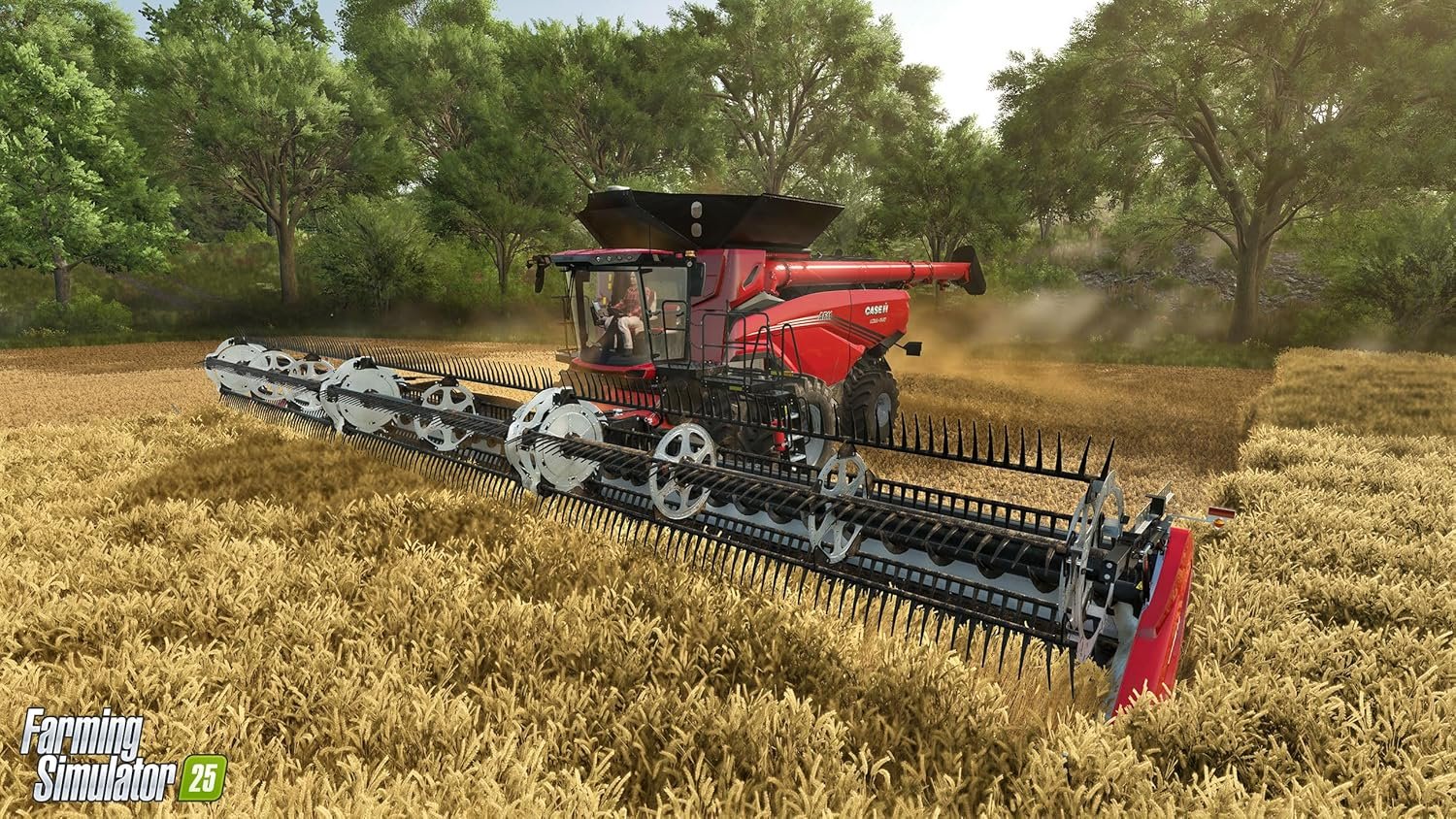 Farming Simulator 25 PS5 RUS SUB купить,25794