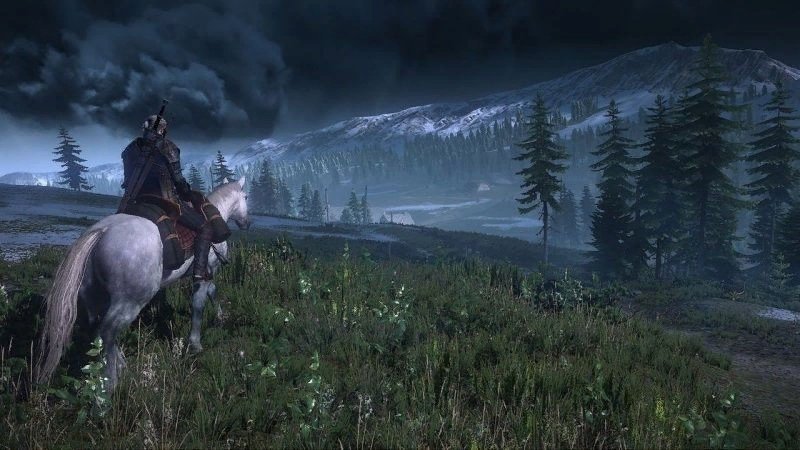 Witcher 3 The Wild Hunt NS RUS SUB купить,34999