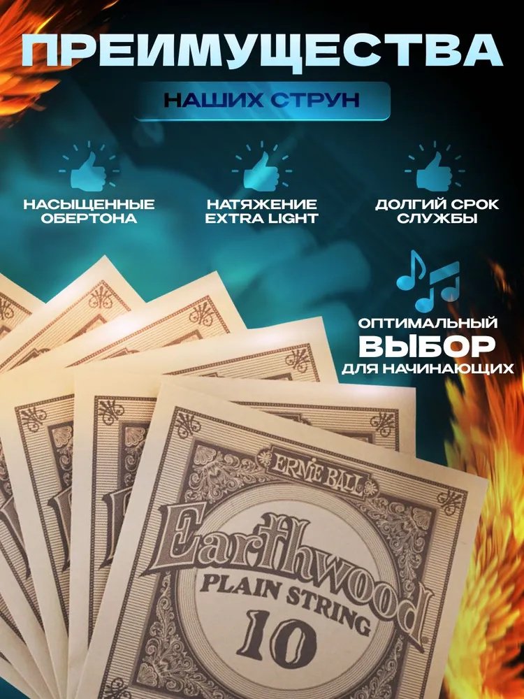 Ernie Ball 2006 NT10-50 купить,6500