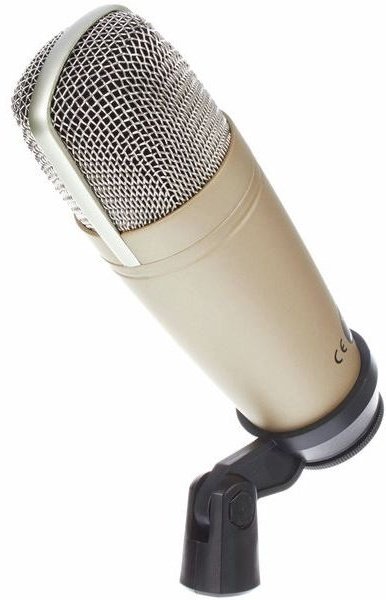 Микрофон BEHRINGER C-1 золотистый купить,43000