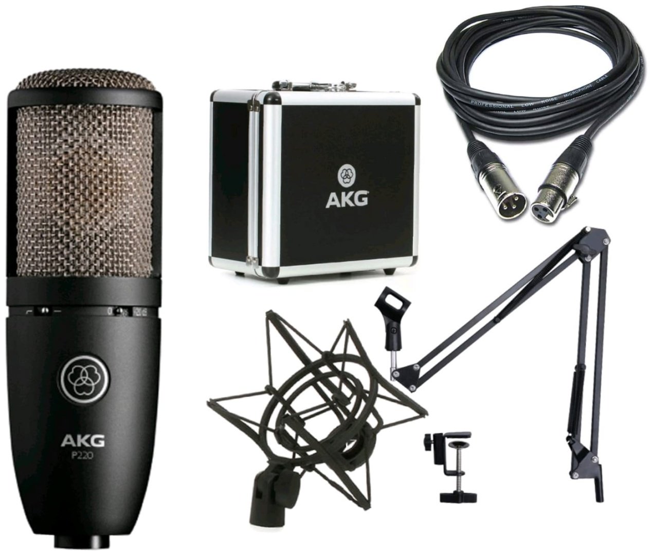 AKG P220 Bundle черный купить,190000