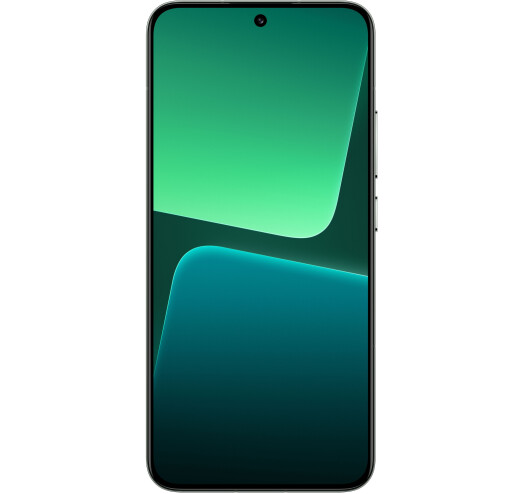 Смартфон Xiaomi 13 12/256Gb Flora Green купить,NaN