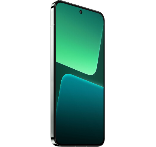 Смартфон Xiaomi 13 12/256Gb Flora Green купить,NaN