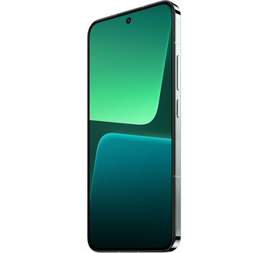 Смартфон Xiaomi 13 12/256Gb Flora Green купить,NaN