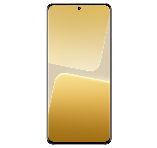 Смартфон Xiaomi 13 Pro 12/512Gb Ceramic White купить,0