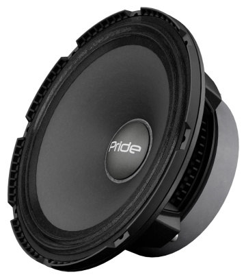 PRIDE среднечастотная АС SOLO 200 6.5 Competition - ForteMarket PRIDE среднечастотная АС SOLO 200 6.5 Competition купить,function inputValueFn(){if((0,signal2.mK)(node),node.value===REQUIRED_UNSET_VALUE)throw new root_effect_scheduler.buA(-950,null);return node.value}