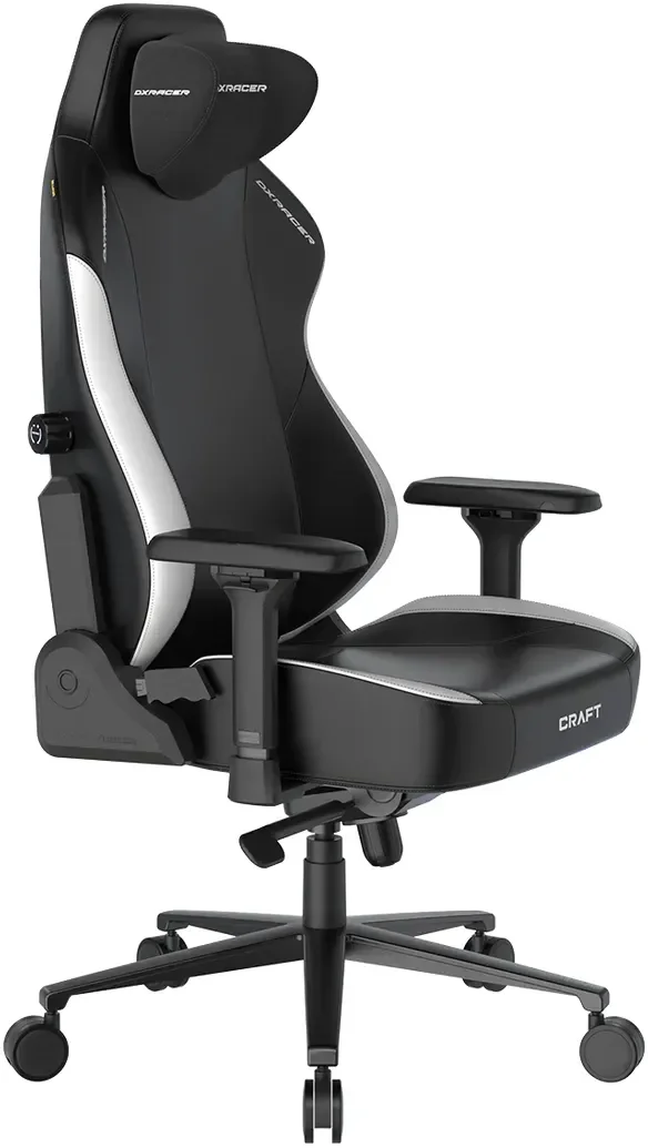 Игровое кресло DXRacer Craft Standard F-23 GC/LCF23LTA/NW черно-белое