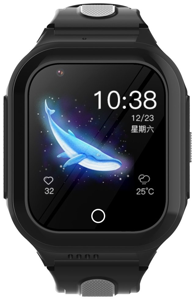 Смарт-часы Wonlex KT24s черный