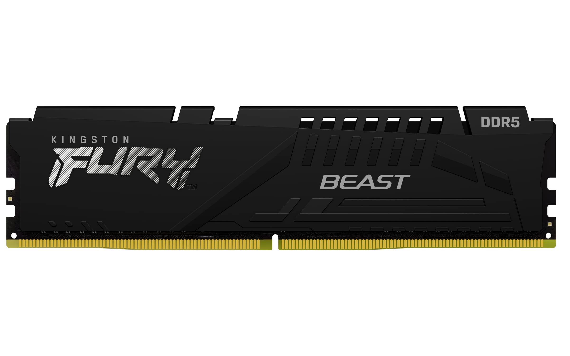 Оперативная память Kingston Fury Beast Black KF556C40BB-16 1x16Gb