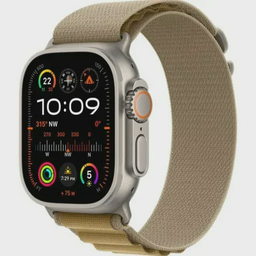 Смарт-часы Apple Ultra 2 2024 GPS MX4F3GK/A Cellular 49mm Natural Titanium Case with Tan Alpine Loop Medium