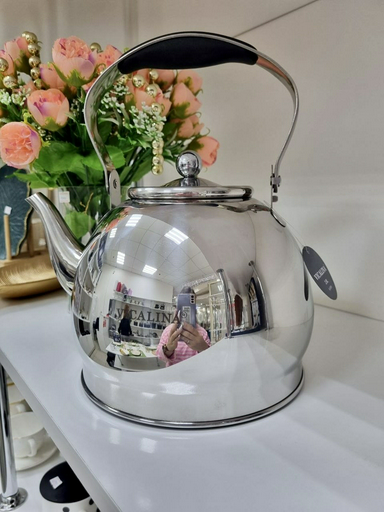 Vicalina чайник Базовая коллекция VL-9318 2.8 л, нержавеющая сталь, силикон