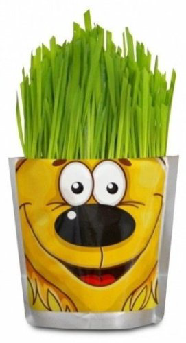Выращивание растений Happy Plant Львенок HP-47