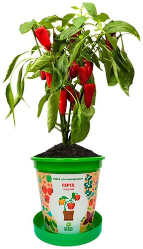 Выращивание растений Happy Plant hpn-36 купить,NaN