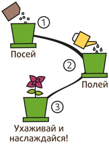 Выращивание растений Happy Plant hpn-34
