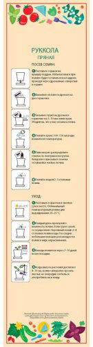 Выращивание растений Happy Plant Руккола пряная hpn-16 купить,NaN