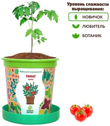 Выращивание растений Happy Plant Томат черри hpn-7