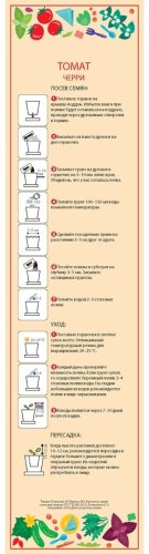 Выращивание растений Happy Plant Томат черри hpn-7