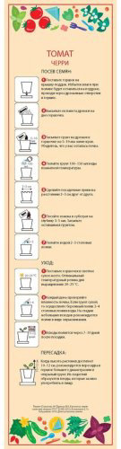Выращивание растений Happy Plant Томат черри hpn-7 купить,NaN