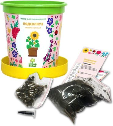 Выращивание растений Happy Plant Подсолнух миниатюрный