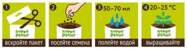 Выращивание растений Bumbaram hpd-2 купить,NaN