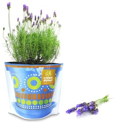 Выращивание растений Bumbaram hpd-2 - ForteMarket Выращивание растений Bumbaram hpd-2 купить,0