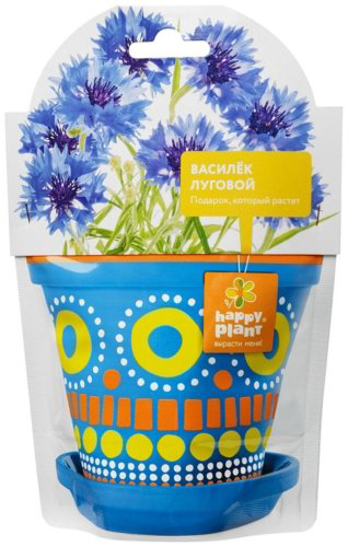 Выращивание растений Happy Plant Василек луговой купить,NaN
